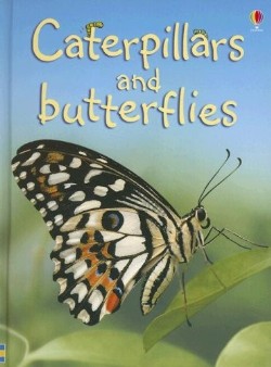 9780794513375 Caterpillars And Butterflies