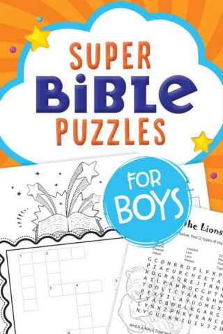 9781683229889 Super Bible Puzzles For Boys