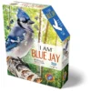 300 Piece- I Am Blue Jay Puzzle