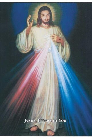 603799590211 Jesus I Trust In Your Divine Mercy Plock (Plaque)