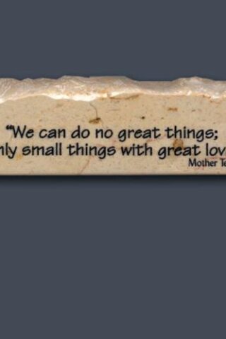 818976003440 We Can Do No Great Things Inspirational Stone
