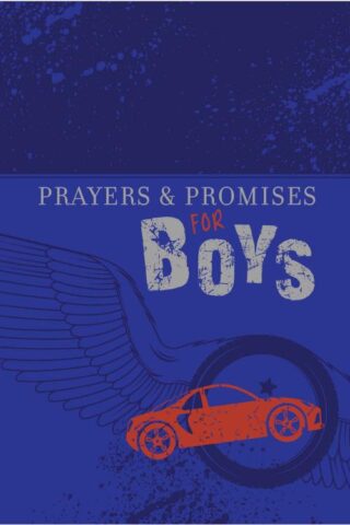 9781424554164 Prayers And Promises For Boys