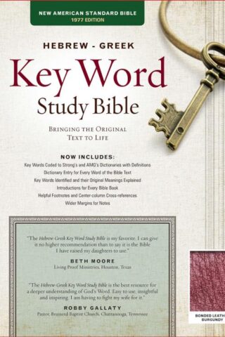 9781617159862 Hebrew Greek Key Word Study Bible