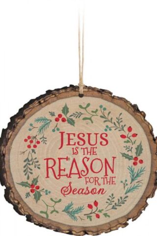 656200199084 Jesus Is The Reason Sliced Log (Ornament)