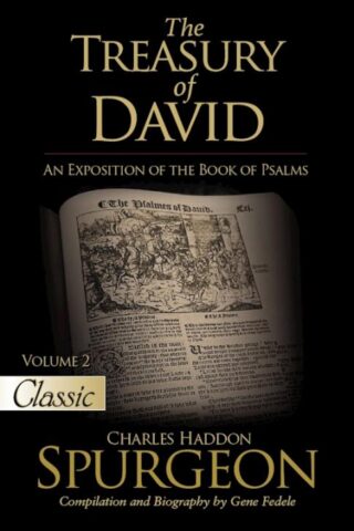 9781610369923 Treasury Of David Volume 2