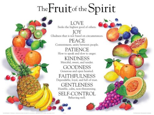 9781890947804 Fruit Of The Spirit Wall Chart Laminated