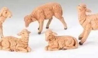 089945525397 Sheep Nativity (Figurine)