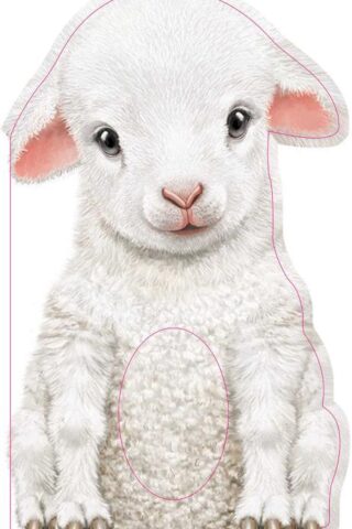 9781438050133 Furry Lamb