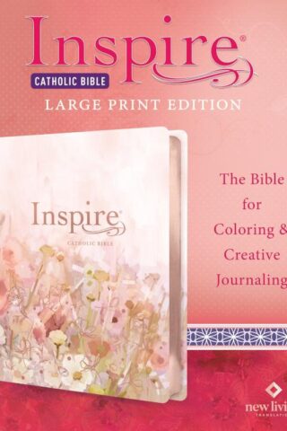 9781496446831 Inspire Catholic Bible Large Print