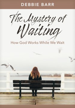 9781496483614 Mystery Of Waiting