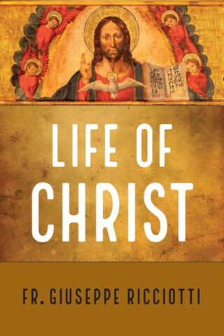 9781644137567 Life Of Christ