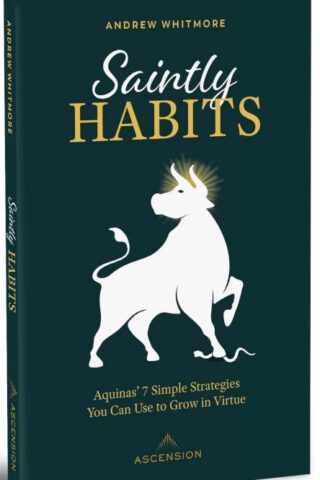 9781954881679 Saintly Habits : Aquinas' 7 Simple Strategies You Can Use To Grow In Virtue