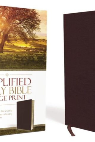 9780310444053 Amplified Bible Large Print