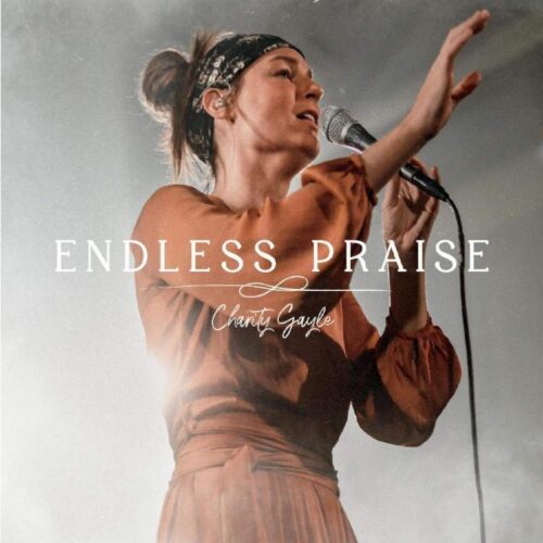 762184018928 Endless Praise (Vinyl)