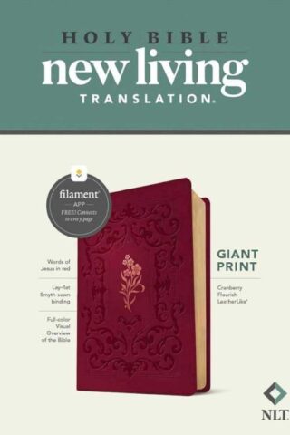 9781496482297 Giant Print Bible Filament Enabled Edition