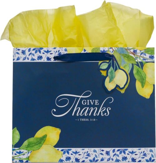 1220000323568 Large Landscape Inspirational Scripture Gift Bag