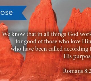 657664864167 Purpose Pass Along Scripture Card