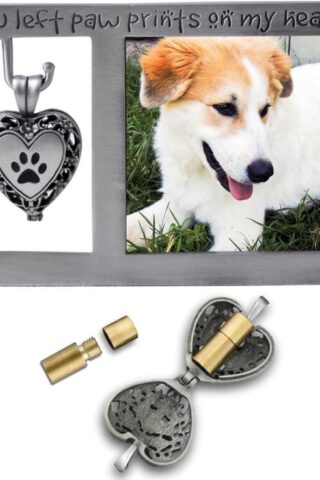 785525270892 Pet Memorial Locket