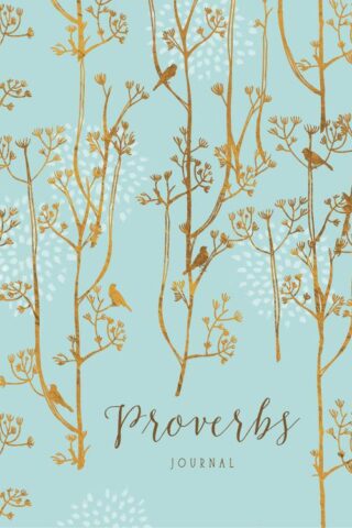 9781633261280 Proverbs Journal (Deluxe)