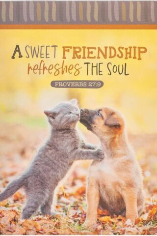 6006937160835 Small Handy Scripture Notepad for Women: Sweet Friendship - Proverbs 27:9 Inspir