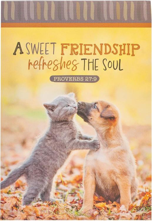 6006937160835 Small Handy Scripture Notepad for Women: Sweet Friendship - Proverbs 27:9 Inspir