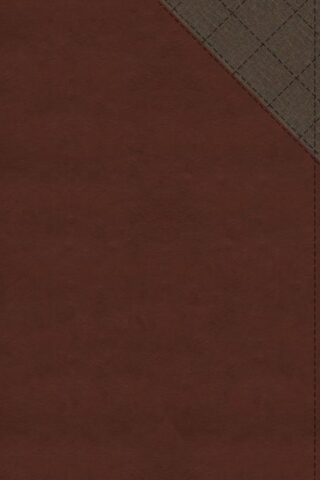 9780310462057 Thinline Bible Comfort Print