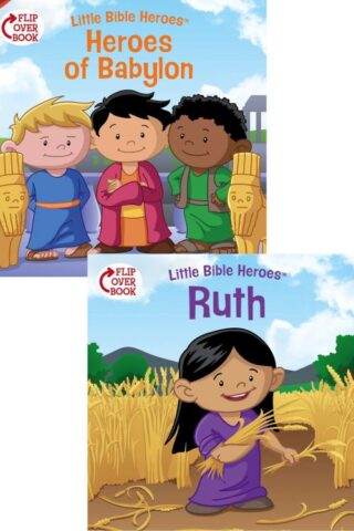 9781433643255 Heroes Of Babylon Ruth Flip Over Book