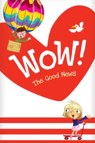 9781496433480 Wow The Good News Tract 20 Pack
