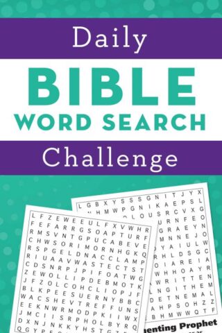 9781683224792 Daily Bible Word Search Challenge