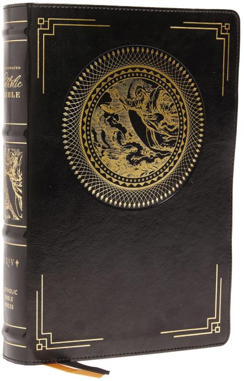 9780785239635 Illustrated Catholic Bible Comfort Print