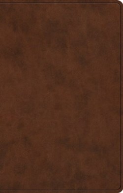 9798874903237 Premium Gift Bible