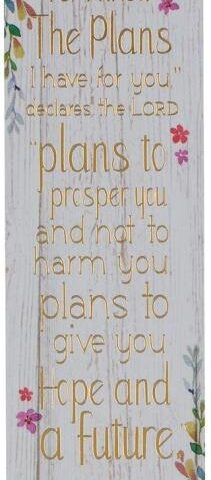1220000136762 I Know The Plans Sunday School/Teacher Bookmark Set - Jeremiah 29:11