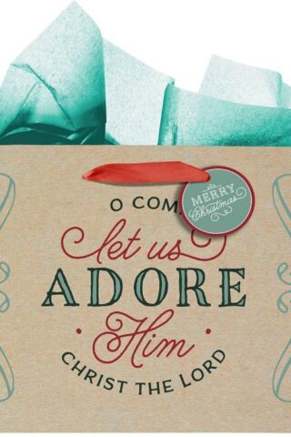 1220000329584 Large Landscape Inspirational Christmas Gift Bag