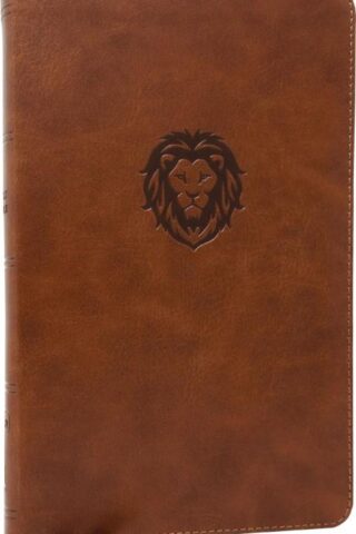 9780785225775 Thinline Bible Youth Edition Comfort Print
