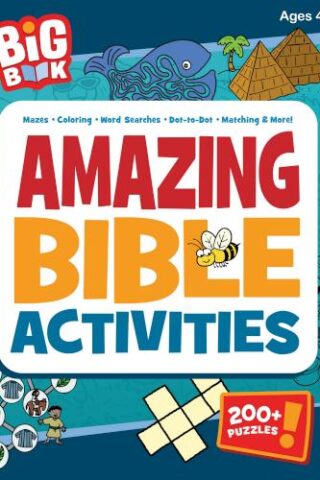 9780830790227 Big Book Of Amazing Bible Activities