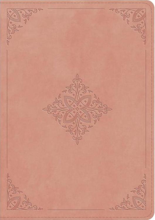 9798874902681 Study Bible