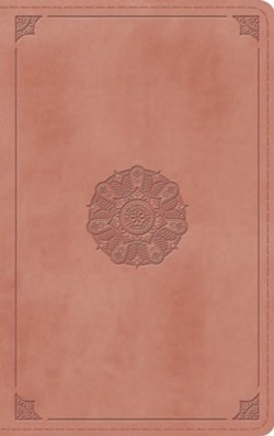 9798874904333 Thinline Bible