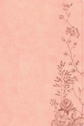 9798384533443 Single Column Compact Bible Digital Study Edition