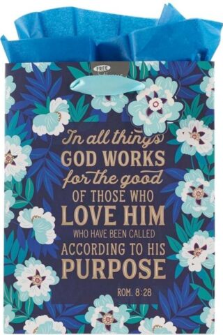 1220000134294 Blue/Teal Gift Bag w/ Tissue Paper Set: God Works for Good - Romans 8:28