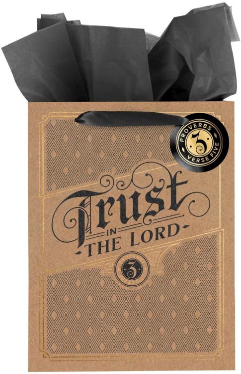 1220000325579 Large Portrait Inspirational Scripture Gift Bag