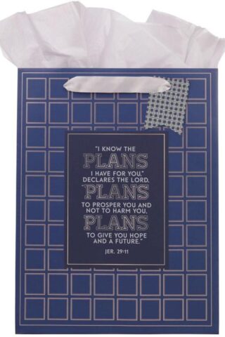 1220000328693 Large Portrait Inspirational Scripture Gift Bag