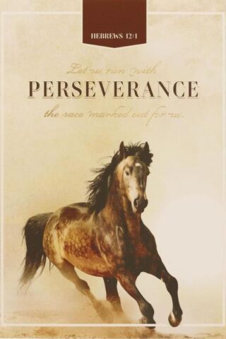 1220000721012 Scripture Notebook