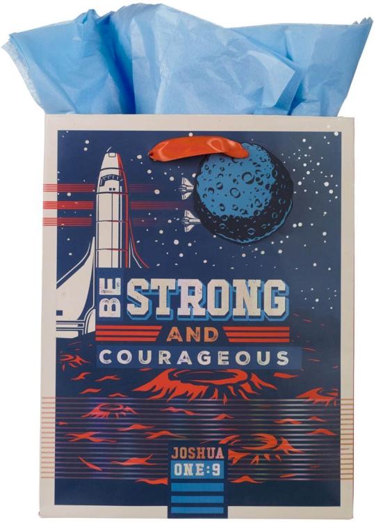 6006937168961 Medium Portrait Gift Bag