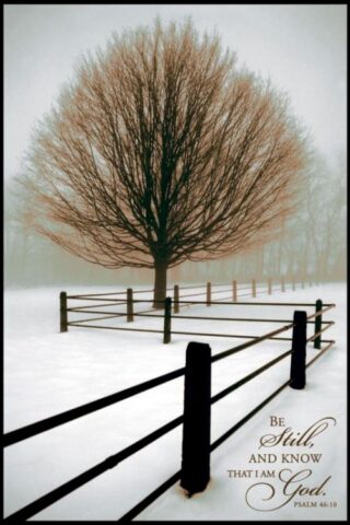 656200095782 Solitude Be Still Mini Print