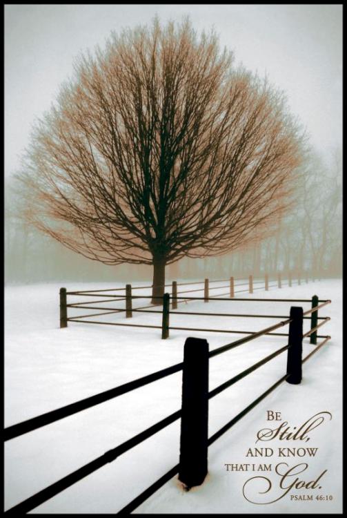 656200095782 Solitude Be Still Mini Print