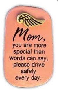 785525319164 Mom Visor Clip