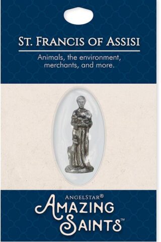 798890023345 Saint Francis Amazing Saint