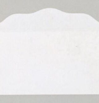 9780805407600 Bill Size Blank Offering Envelopes