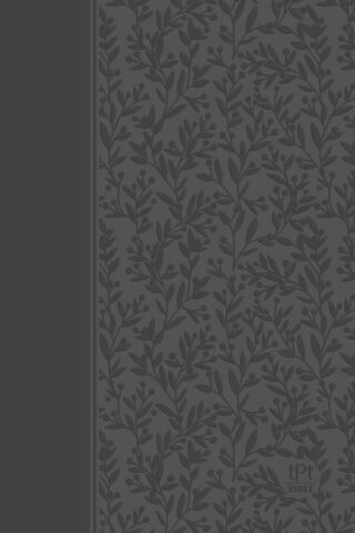 9781424561421 New Testament 2020 Edition With Psalms Proverbs And Song Of Songs