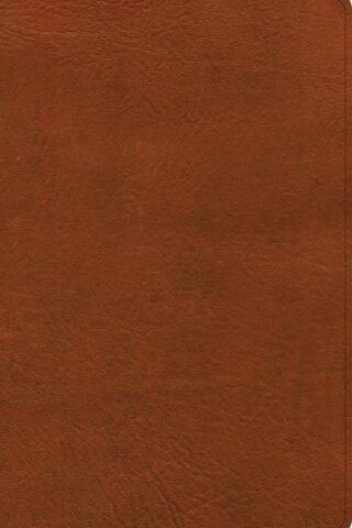 9781430086024 Large Print Thinline Bible NASB 2020 Edition